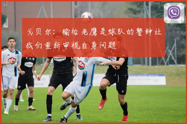 戈贝尔：输给老鹰是球队的警钟让我们重新审视自身问题