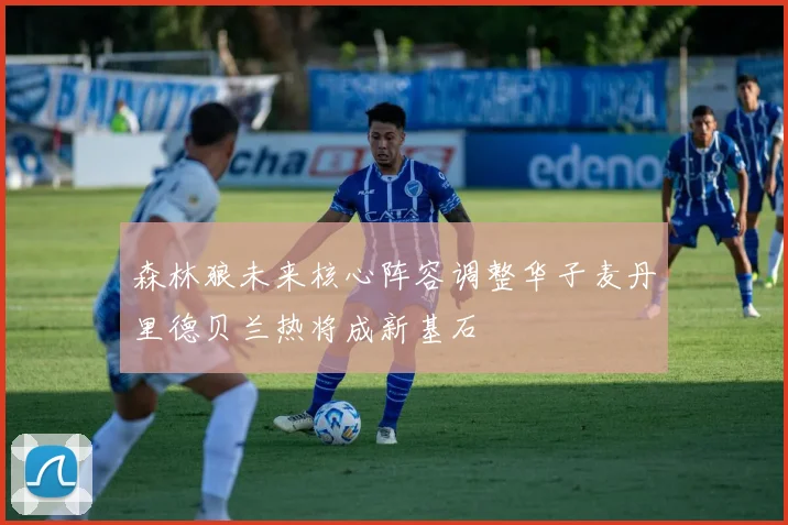 森林狼未来核心阵容调整华子麦丹里德贝兰热将成新基石